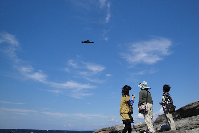 白浜海岸にて